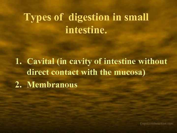 Types of digestion in small intestine. 1. Cavital (in cavity of intestine without direct