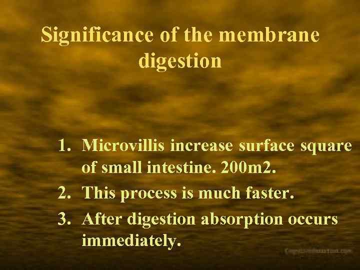 Significance of the membrane digestion 1. Microvillis increase surface square of small intestine. 200