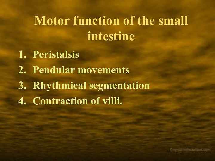 Motor function of the small intestine 1. 2. 3. 4. Peristalsis Pendular movements Rhythmical