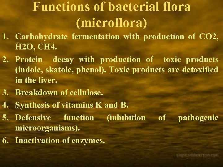 Functions of bacterial flora (microflora) 1. Carbohydrate fermentation with production of CO 2, H