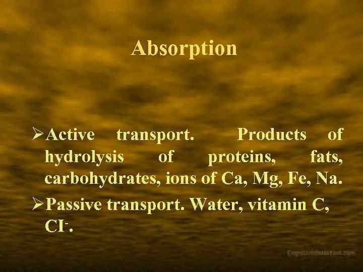 Absorption ØActive transport. Products of hydrolysis of proteins, fats, carbohydrates, ions of Ca, Mg,