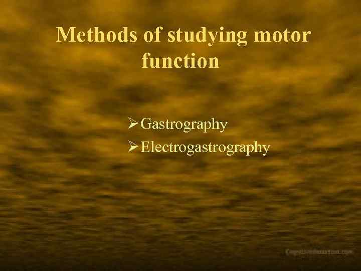 Methods of studying motor function Ø Gastrography Ø Electrogastrography 