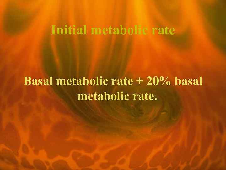 Initial metabolic rate Basal metabolic rate + 20% basal metabolic rate. 
