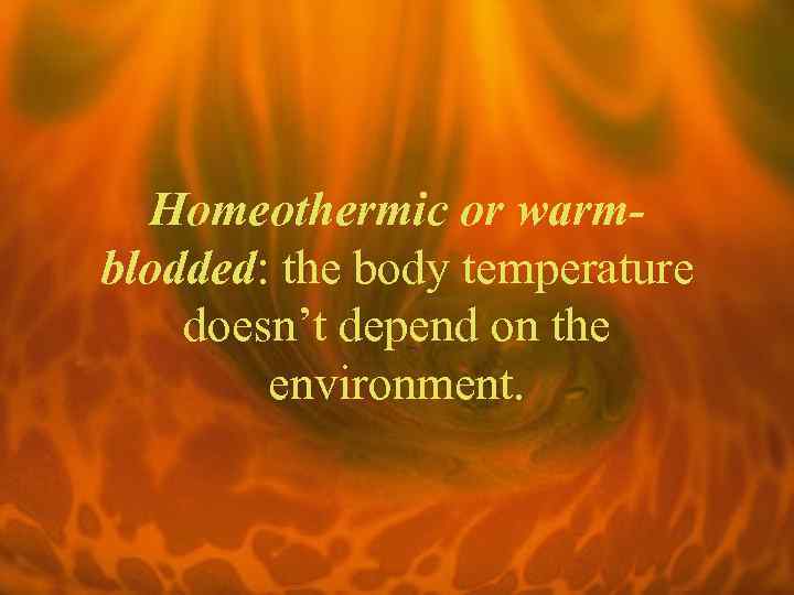 Homeothermic or warmblodded: the body temperature doesn’t depend on the environment. 