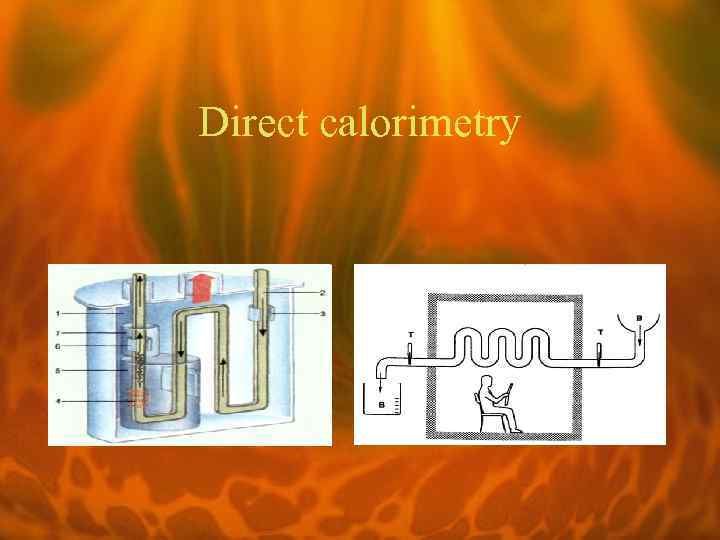 Direct calorimetry 