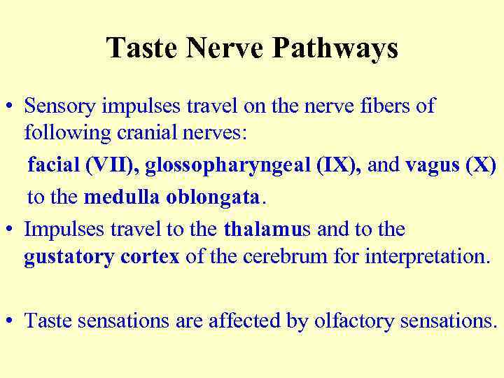 Taste Nerve Pathways • Sensory impulses travel on the nerve fibers of following cranial