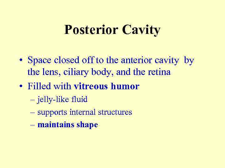 Posterior Cavity • Space closed off to the anterior cavity by the lens, ciliary