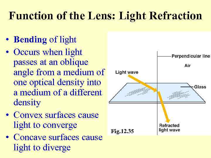 Function of the Lens: Light Refraction • Bending of light • Occurs when light