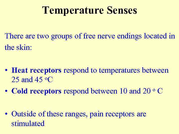 Temperature Senses There are two groups of free nerve endings located in the skin: