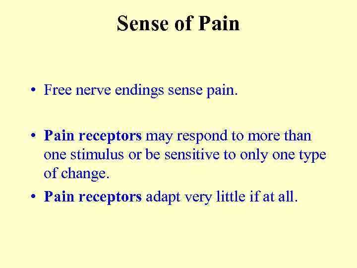 Sense of Pain • Free nerve endings sense pain. • Pain receptors may respond