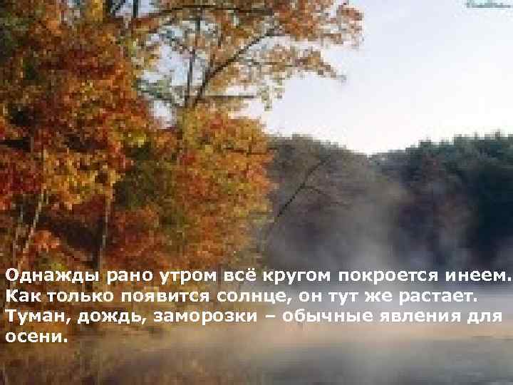 Однажды рано утром всё кругом покроется инеем. Как только появится солнце, он тут же