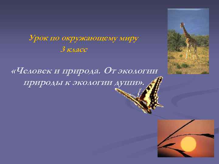 Урок по окружающему миру 3 класс «Человек и природа. От экологии природы к экологии