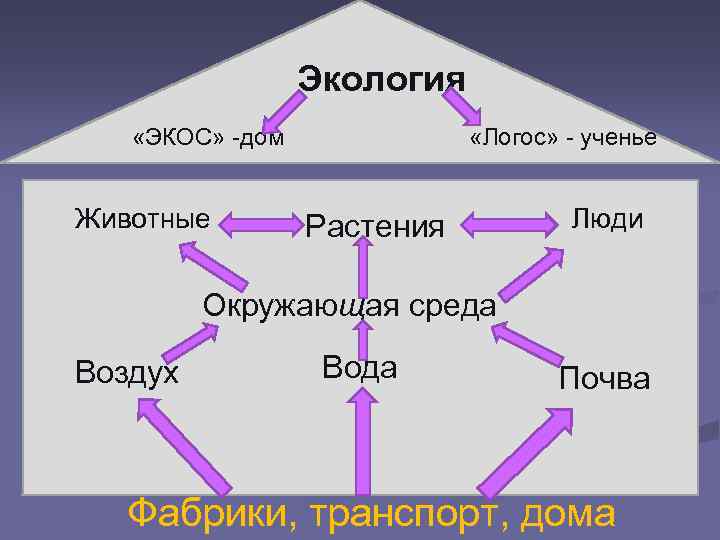 Экология «ЭКОС» -дом Животные «Логос» - ученье Растения Люди Окружающая среда Воздух Вода Почва