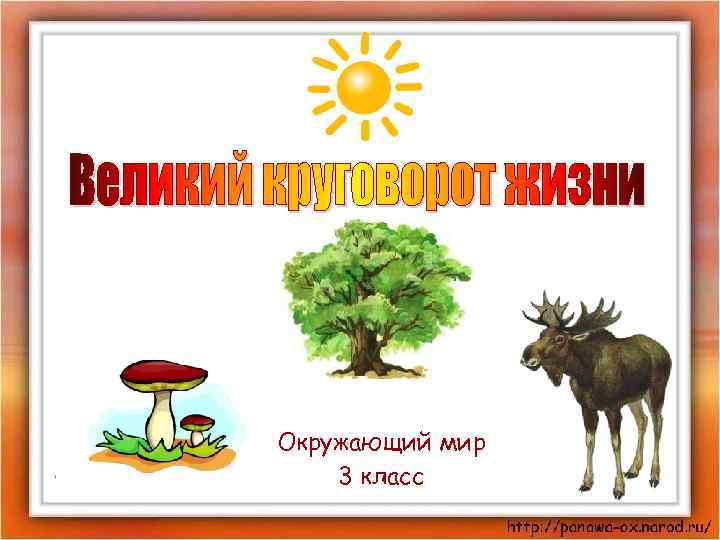 Окружающий мир 3 класс 