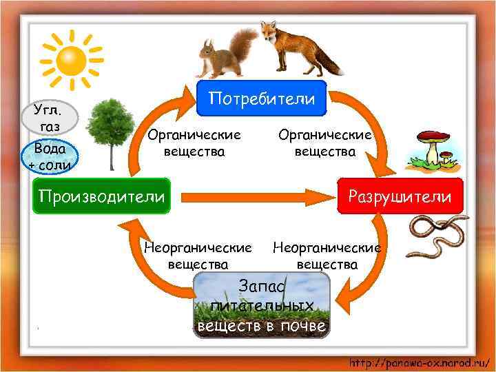 Угл. газ Вода + соли Потребители Органические вещества Производители Разрушители Неорганические вещества Запас питательных
