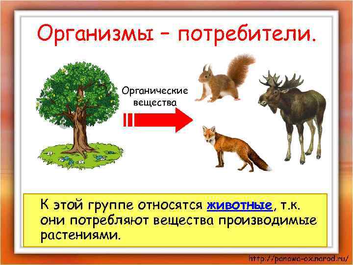 Организмы – потребители. Органические вещества К этой группе относятся животные, т. к. они потребляют