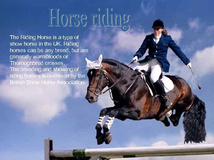 The Riding Horse is a type of show horse in the UK. Riding horses