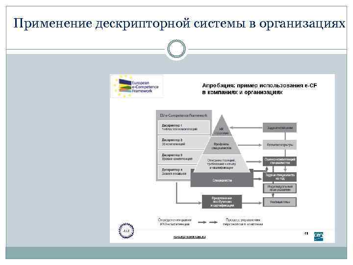 Применение дескрипторной системы в организациях 