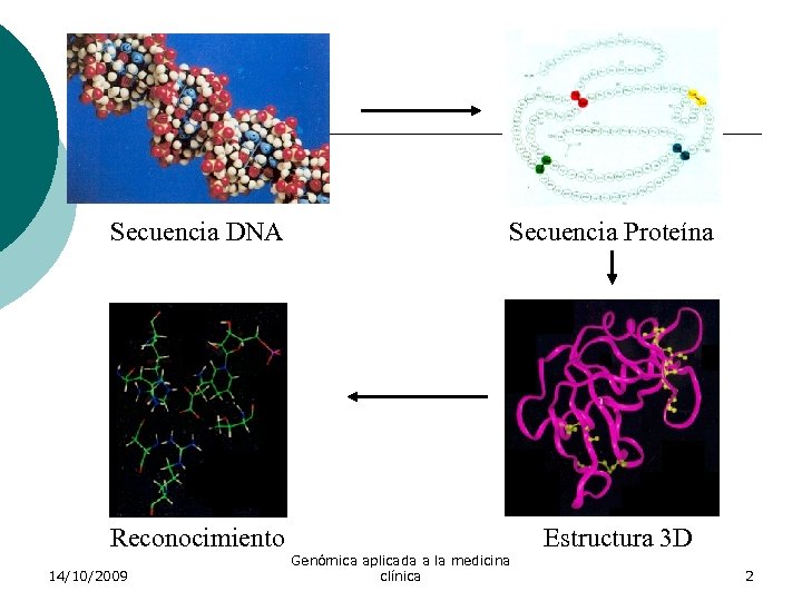 Secuencia DNA Secuencia Proteína Reconocimiento Estructura 3 D 14/10/2009 Genómica aplicada a la medicina