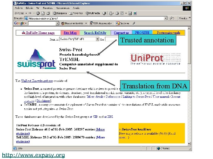 Trusted annotation Translation from DNA http: //www. expasy. org 