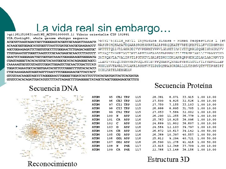 La vida real sin embargo… >gi|261252063|ref|NZ_ACZV 01000005. 1| Vibrio orientalis CIP 102891 VIA. Contig