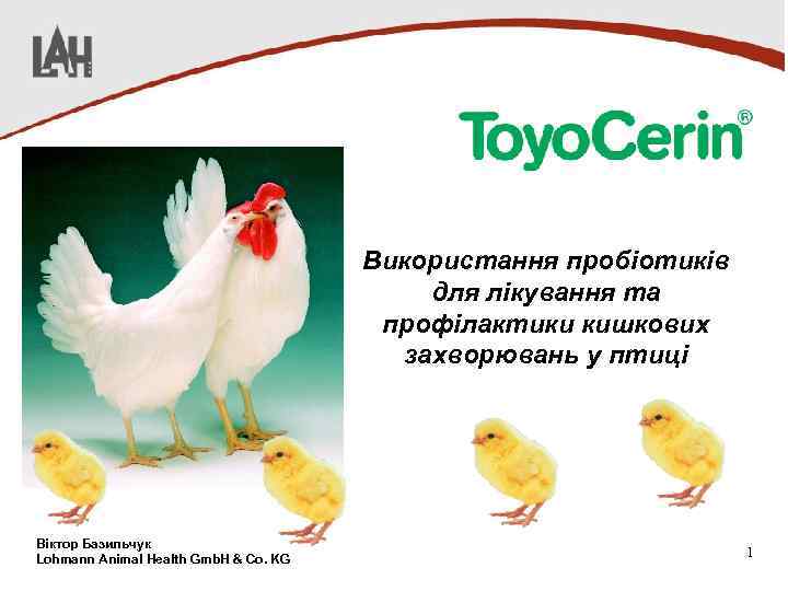 Використання пробіотиків для лікування та профілактики кишкових захворювань у птиці Віктор Базильчук Lohmann Animal