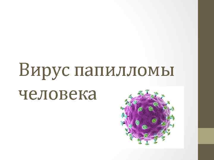 Вирус папилломы. Вирус папилломы человека презентация. Папилломавирусы презентация. Вирус папилломавирусы человека. Папилломавирус человека презентация.