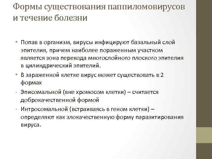 Формы существования паппиломовирусов и течение болезни • Попав в организм, вирусы инфицируют базальный слой