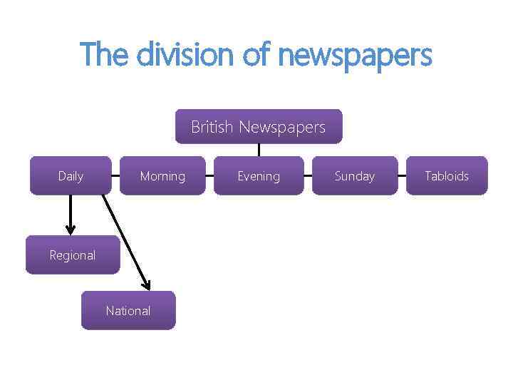 The division of newspapers British Newspapers Daily Morning Regional National Evening Sunday Tabloids 