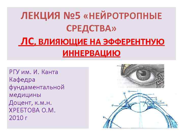 ЛЕКЦИЯ № 5 «НЕЙРОТРОПНЫЕ СРЕДСТВА» ЛС, ВЛИЯЮЩИЕ НА ЭФФЕРЕНТНУЮ ИННЕРВАЦИЮ РГУ им. И. Канта