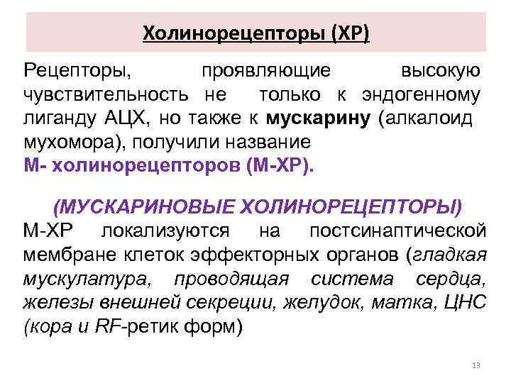 М холинорецепторы