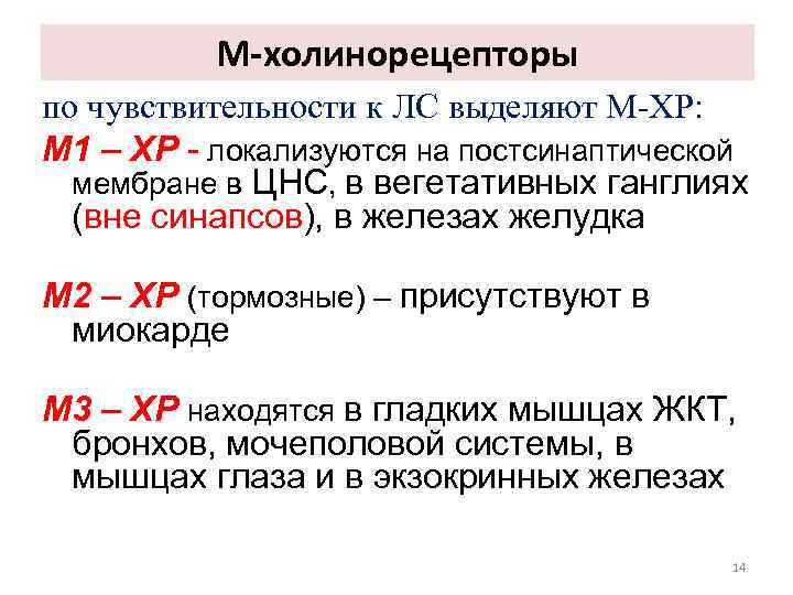 М холинорецепторы. М1 холинорецепторы. М2 холинорецепторы. М1 и м2 холинорецепторы. Активация холинорецепторов постсинаптической мембраны.