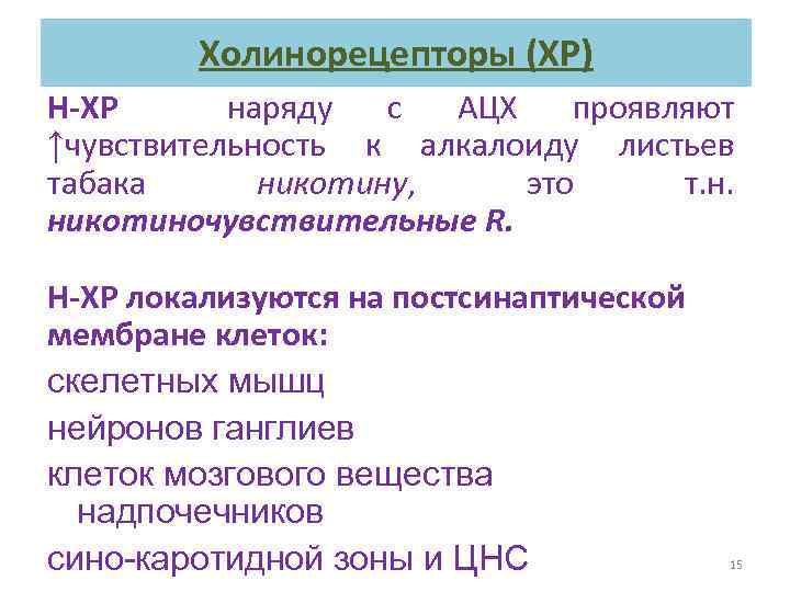 Холинорецепторы (ХР) Н-ХР наряду с АЦХ проявляют ↑чувствительность к алкалоиду листьев табака никотину, это