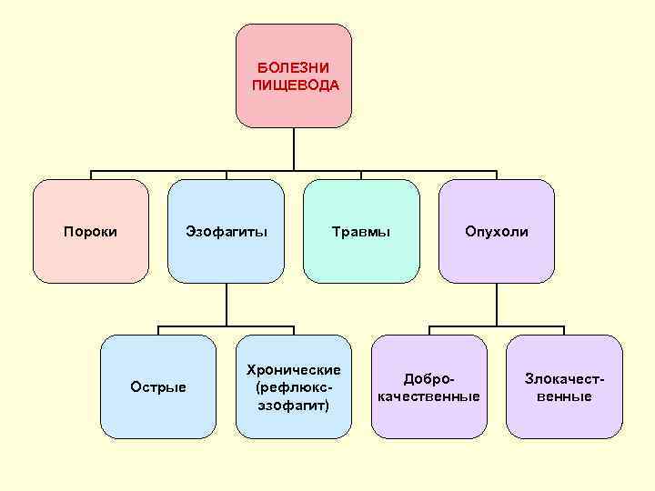 БОЛЕЗНИ ПИЩЕВОДА Пороки Эзофагиты Острые Травмы Хронические (рефлюксэзофагит) Опухоли Доброкачественные Злокачественные 
