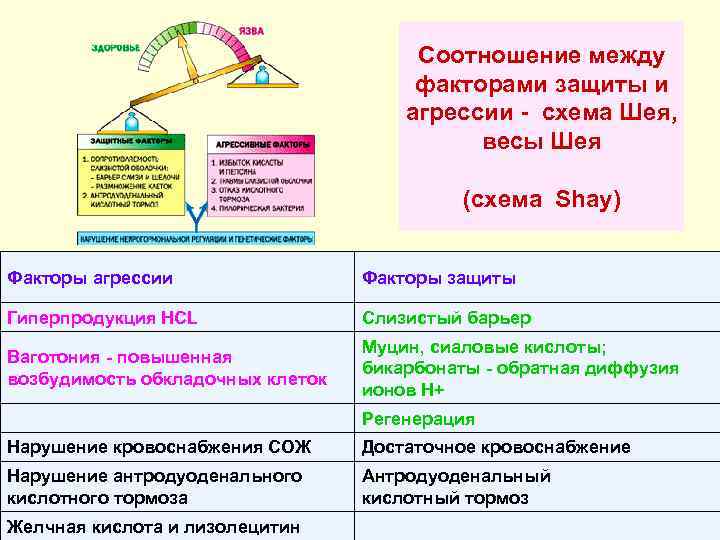 Соотношение между факторами защиты и агрессии - схема Шея, весы Шея (схема Shay) Факторы