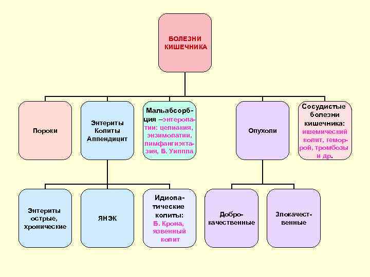 БОЛЕЗНИ КИШЕЧНИКА Пороки Энтериты острые, хронические Энтериты Колиты Аппендицит ЯНЭК Мальабсорбция –энтеропатии: целиакия, энзимопатии,