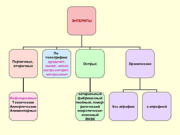 ЭНТЕРИТЫ Первичные, вторичные Инфекционные Токсические Аллергические Алиментарные По топографии: дуоденит, еюнит, илеит, гастроэнтерит, энтероколит
