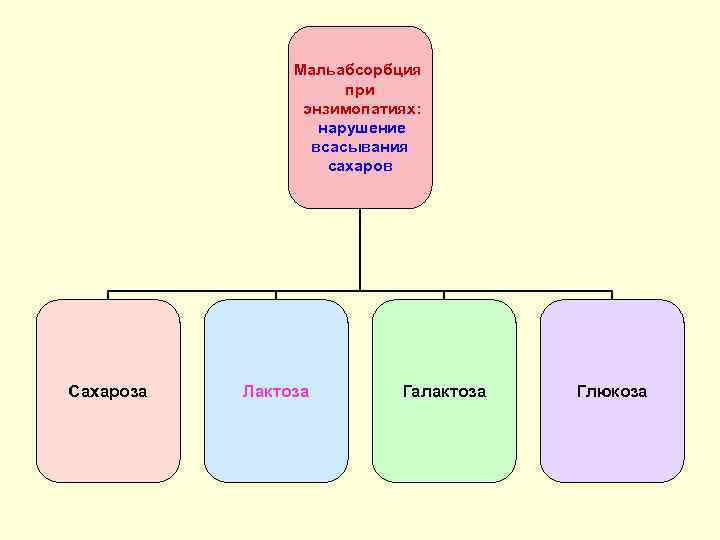 Мальабсорбция при энзимопатиях: нарушение всасывания сахаров Сахароза Лактоза Галактоза Глюкоза 