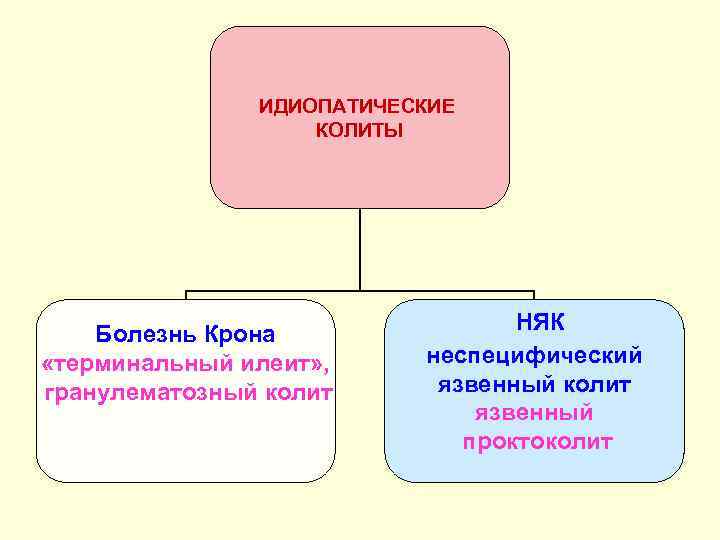 ИДИОПАТИЧЕСКИЕ КОЛИТЫ Болезнь Крона «терминальный илеит» , гранулематозный колит НЯК неспецифический язвенный колит язвенный