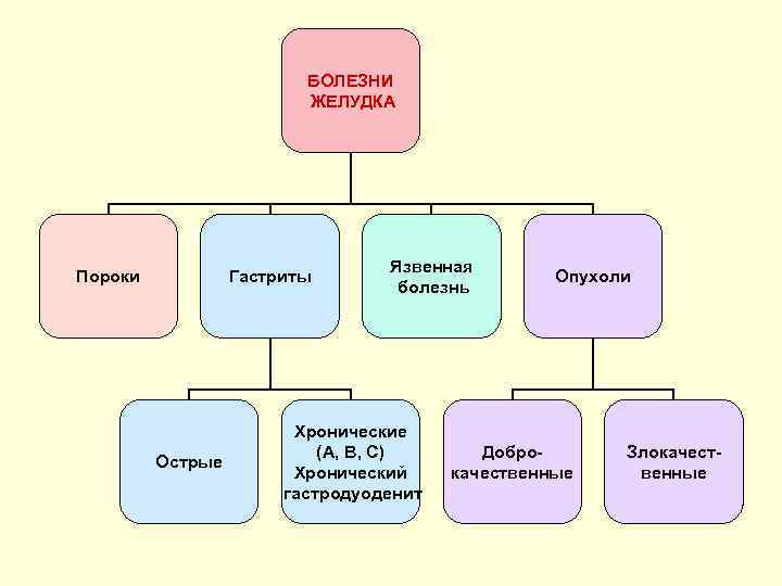 БОЛЕЗНИ ЖЕЛУДКА Пороки Гастриты Острые Язвенная болезнь Хронические (А, В, С) Хронический гастродуоденит Опухоли