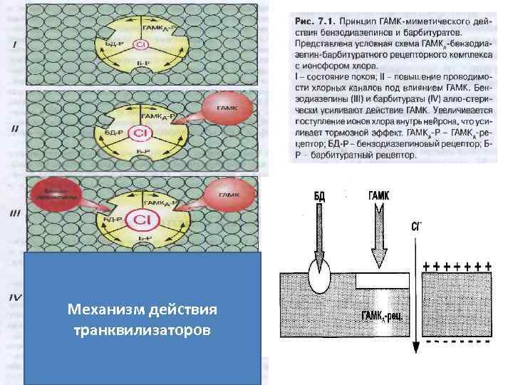 Механизм действия транквилизаторов 