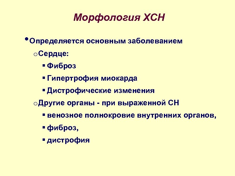 Морфология ХСН • Определяется основным заболеванием o Сердце: § Фиброз § Гипертрофия миокарда §
