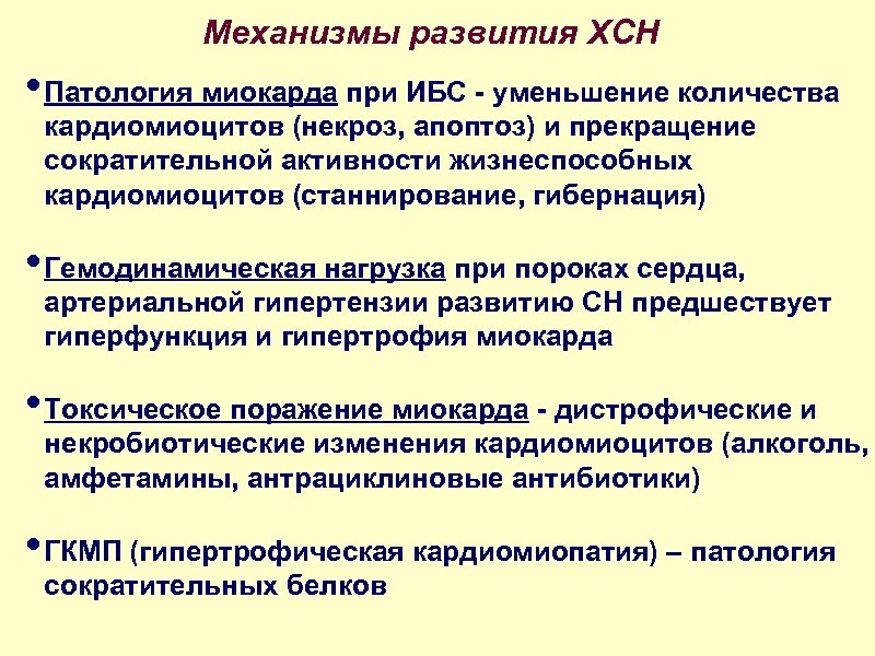 Механизмы развития ХСН • Патология миокарда при ИБС - уменьшение количества кардиомиоцитов (некроз, апоптоз)