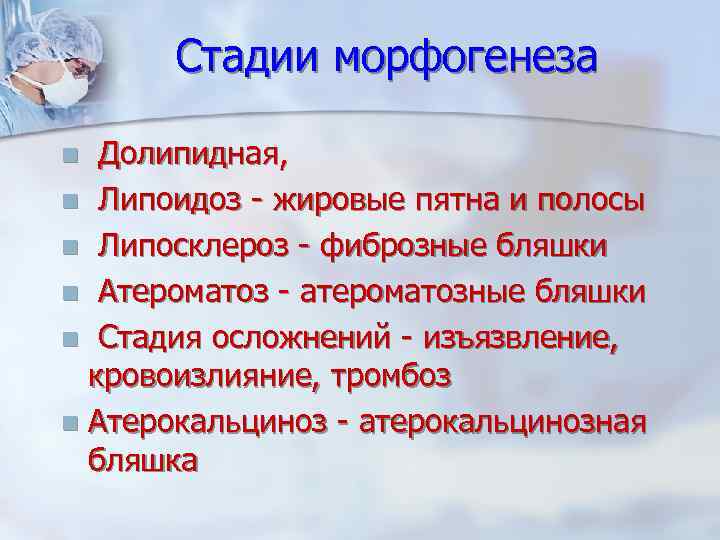 Стадии морфогенеза Долипидная, n Липоидоз - жировые пятна и полосы n Липосклероз - фиброзные