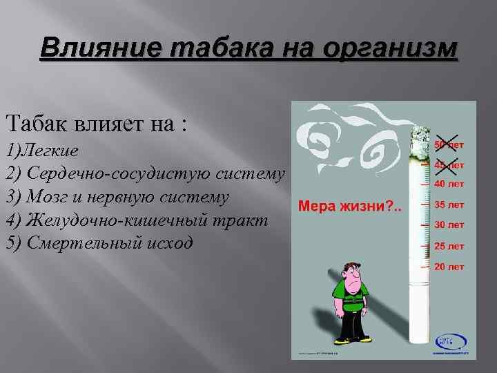 Влияние табака на организм Табак влияет на : 1)Легкие 2) Сердечно-сосудистую систему 3) Мозг