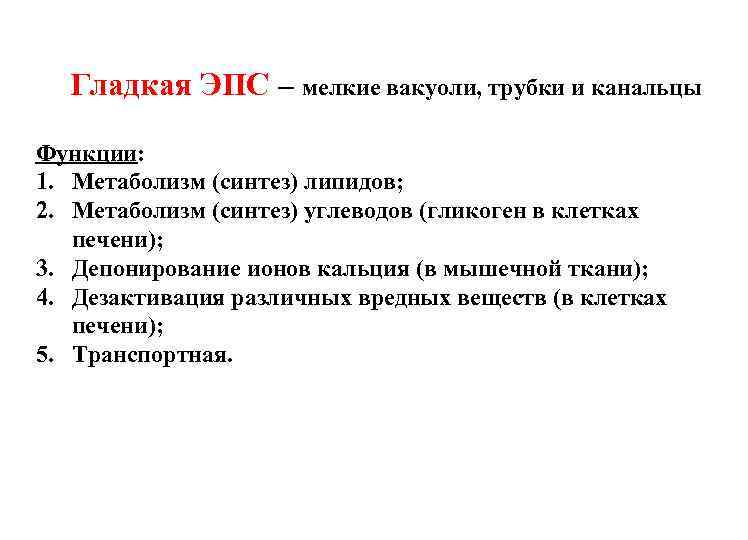 Гладкая ЭПС – мелкие вакуоли, трубки и канальцы Функции: 1. Метаболизм (синтез) липидов; 2.