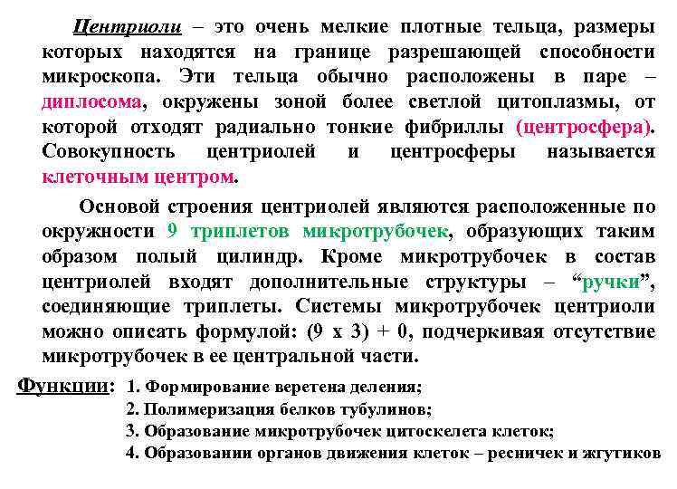 Центриоли – это очень мелкие плотные тельца, размеры которых находятся на границе разрешающей способности