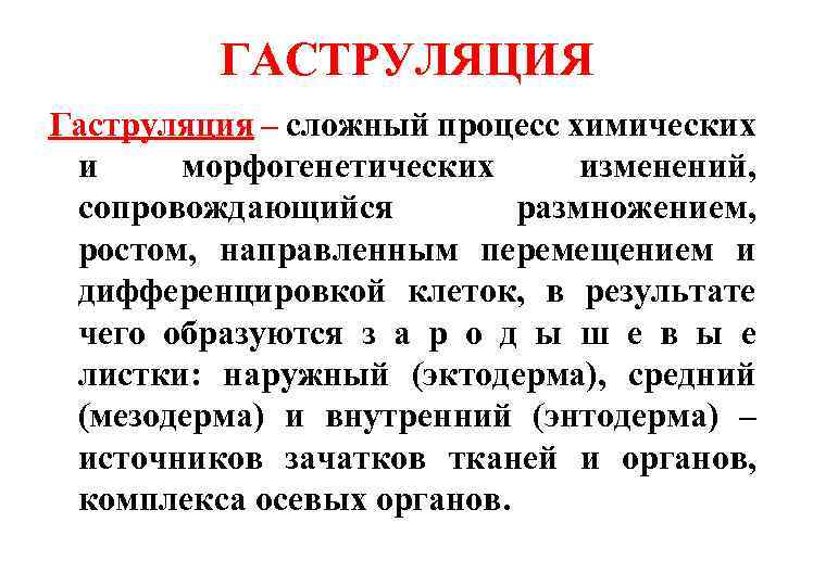 ГАСТРУЛЯЦИЯ Гаструляция – сложный процесс химических и морфогенетических изменений, сопровождающийся размножением, ростом, направленным перемещением