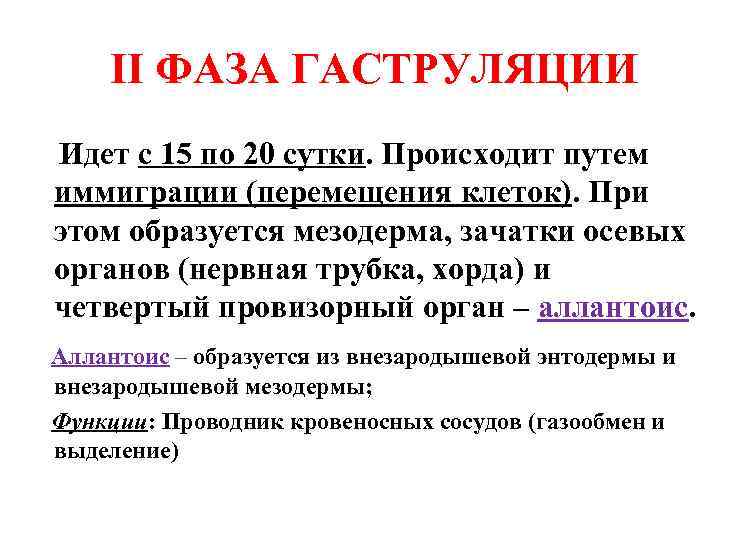 II ФАЗА ГАСТРУЛЯЦИИ Идет с 15 по 20 сутки. Происходит путем иммиграции (перемещения клеток).