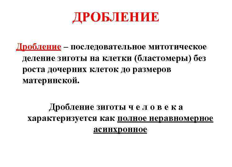 ДРОБЛЕНИЕ Дробление – последовательное митотическое деление зиготы на клетки (бластомеры) без роста дочерних клеток